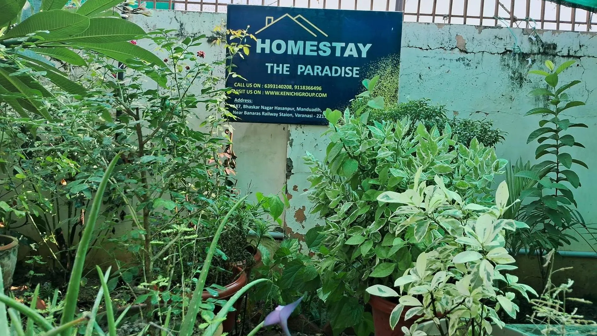 The Paradise Homestay Bénarès 0*,