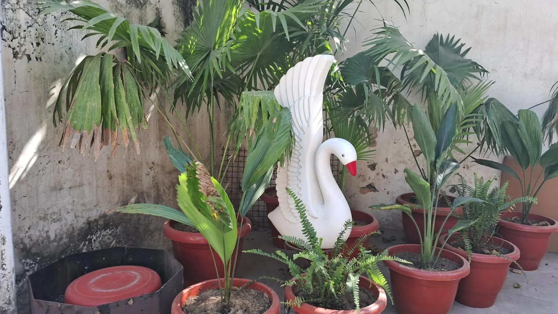 The Paradise Homestay Bénarès